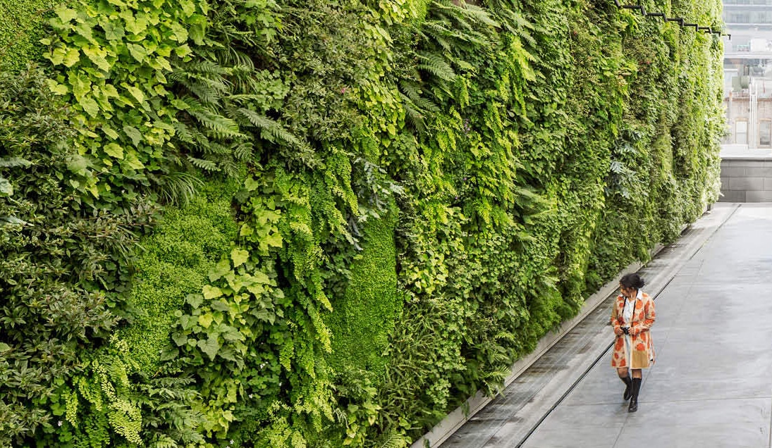 Jasa Renovasi Rumah: 5 Langkah Renovasi Dinding Eksterior dengan Pemasangan Living Wall untuk Kesejukan Maksimal Jasa Renovasi Rumah
